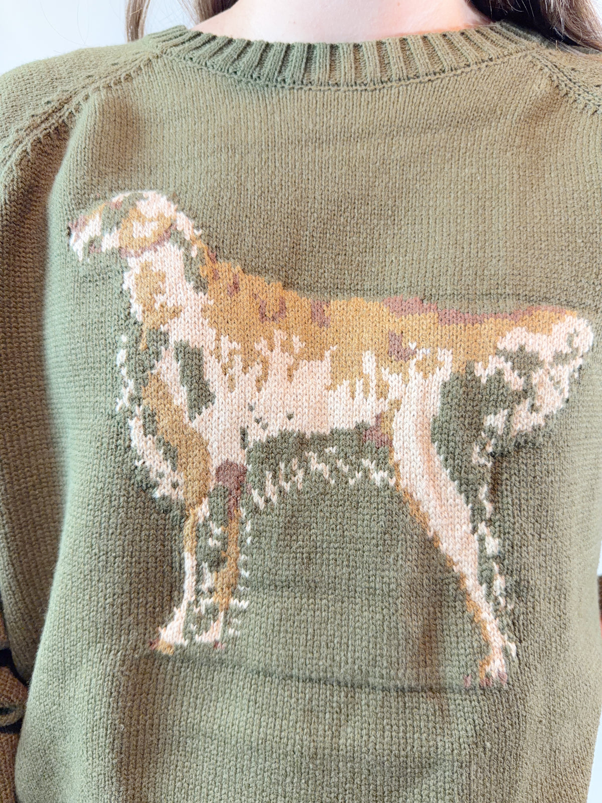 The Knitted Dog Sweater