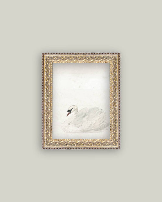 Swan Framed Antique Art 8x10