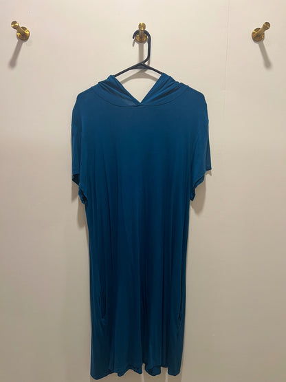 Dress 2X Blue