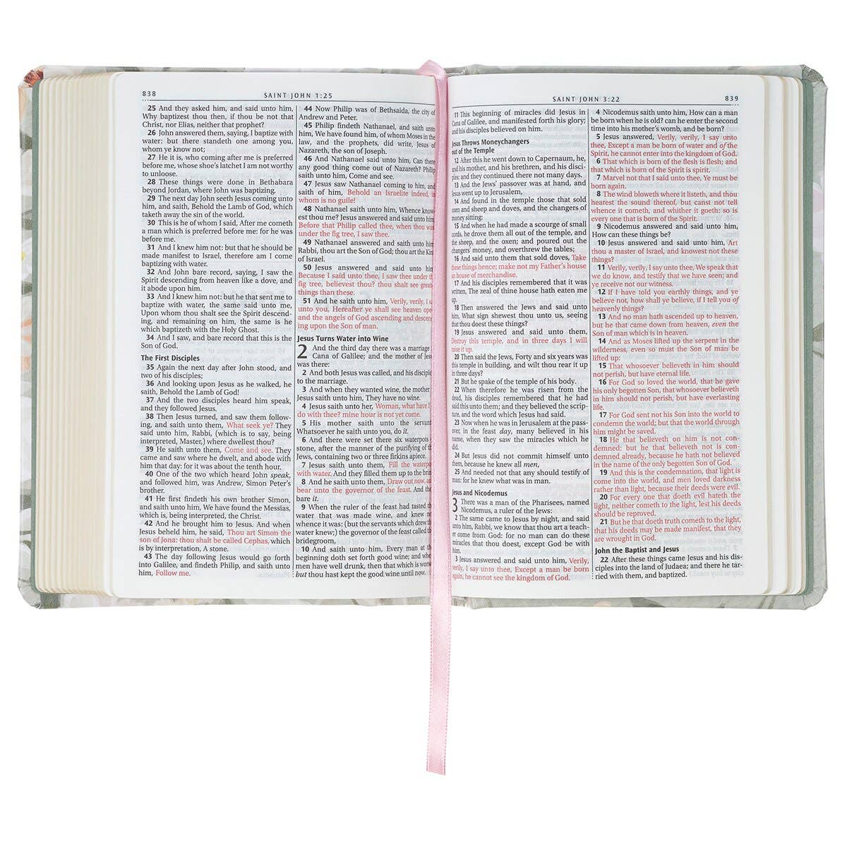 KJV Bible Compact Bible