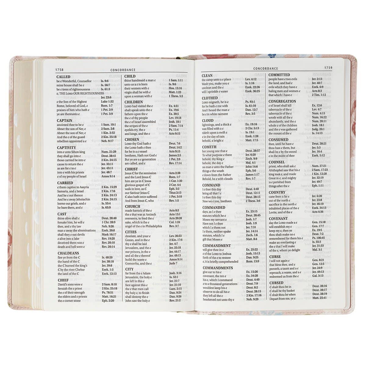 KJV Bible Giant Print Standard-size