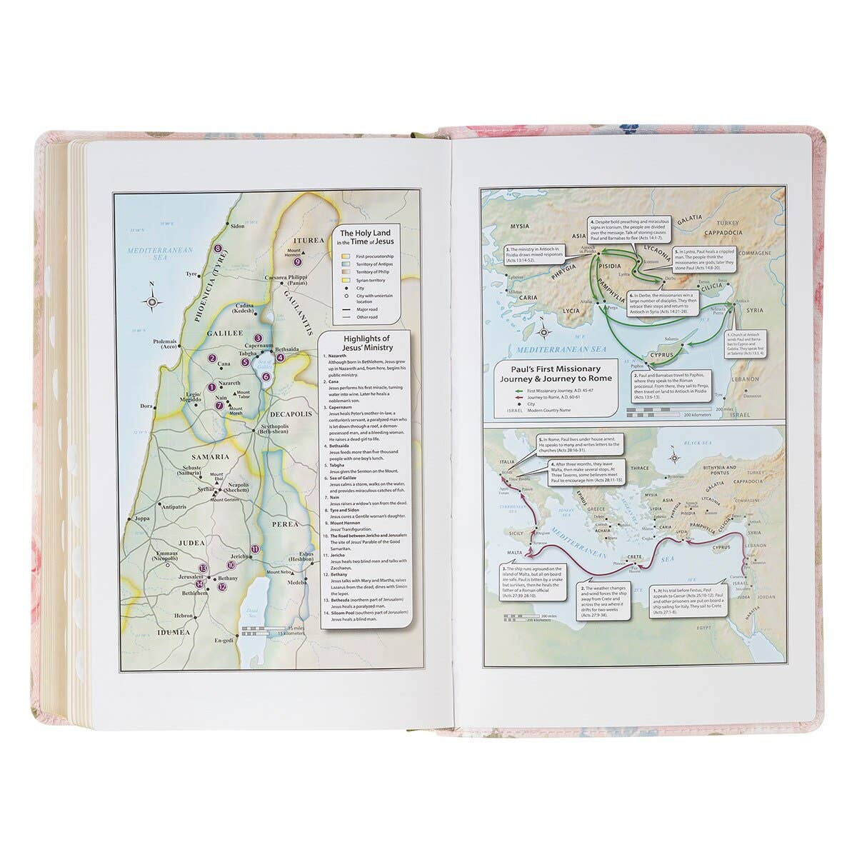KJV Bible Giant Print Standard-size