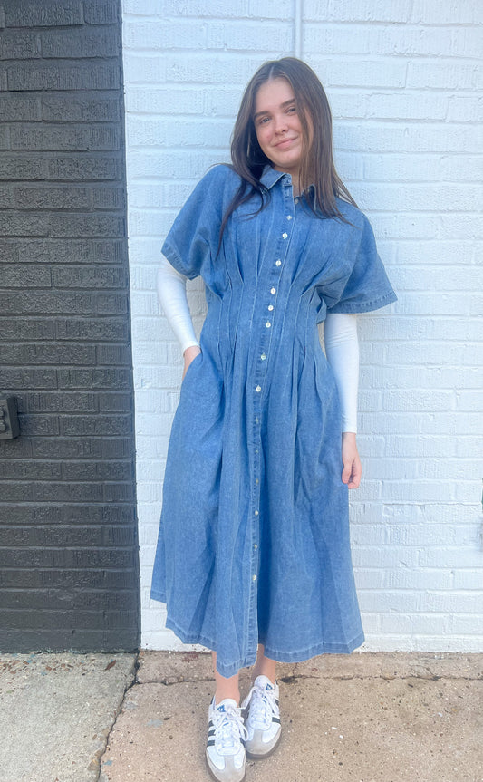The Daisie Denim Dress