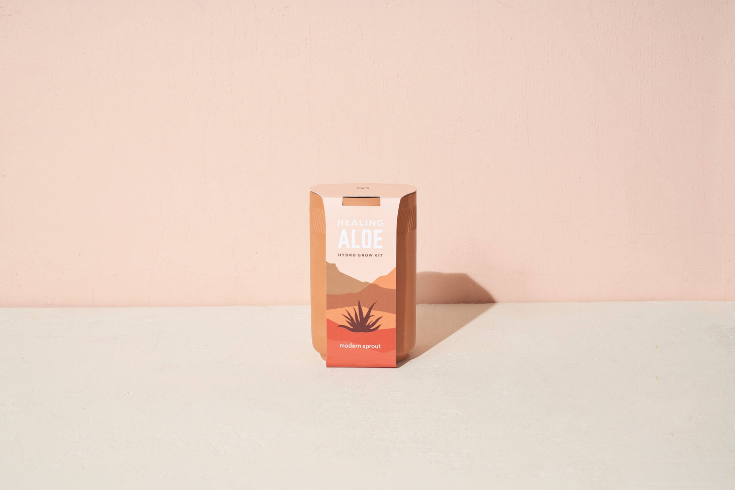 Terracotta Kit - Aloe