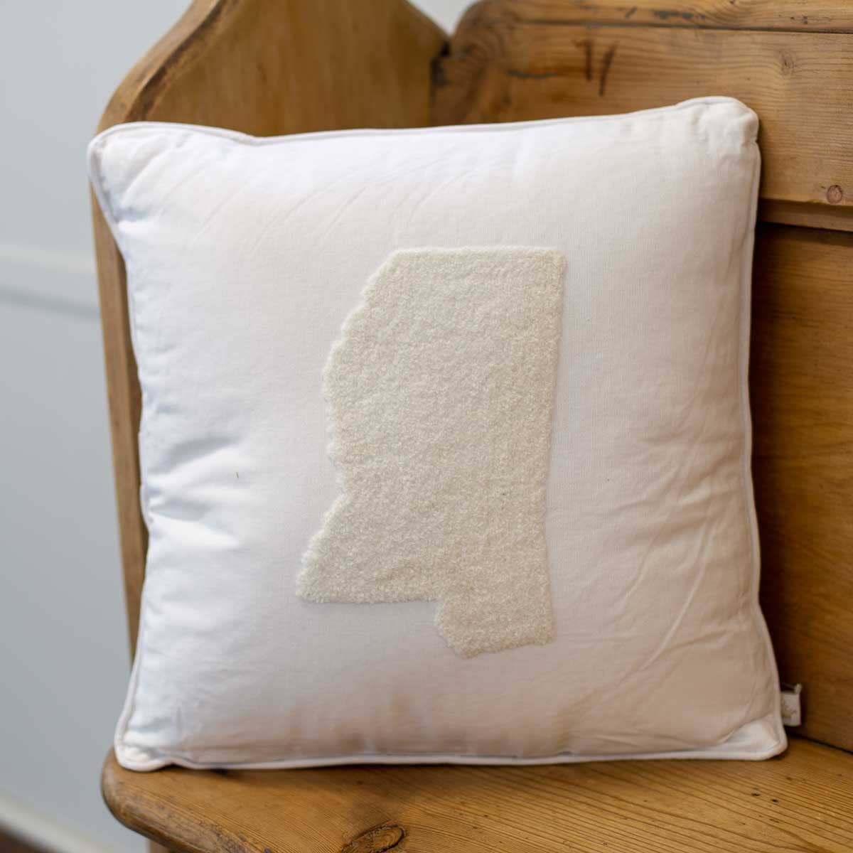 Mississippi Embroidered Pillow